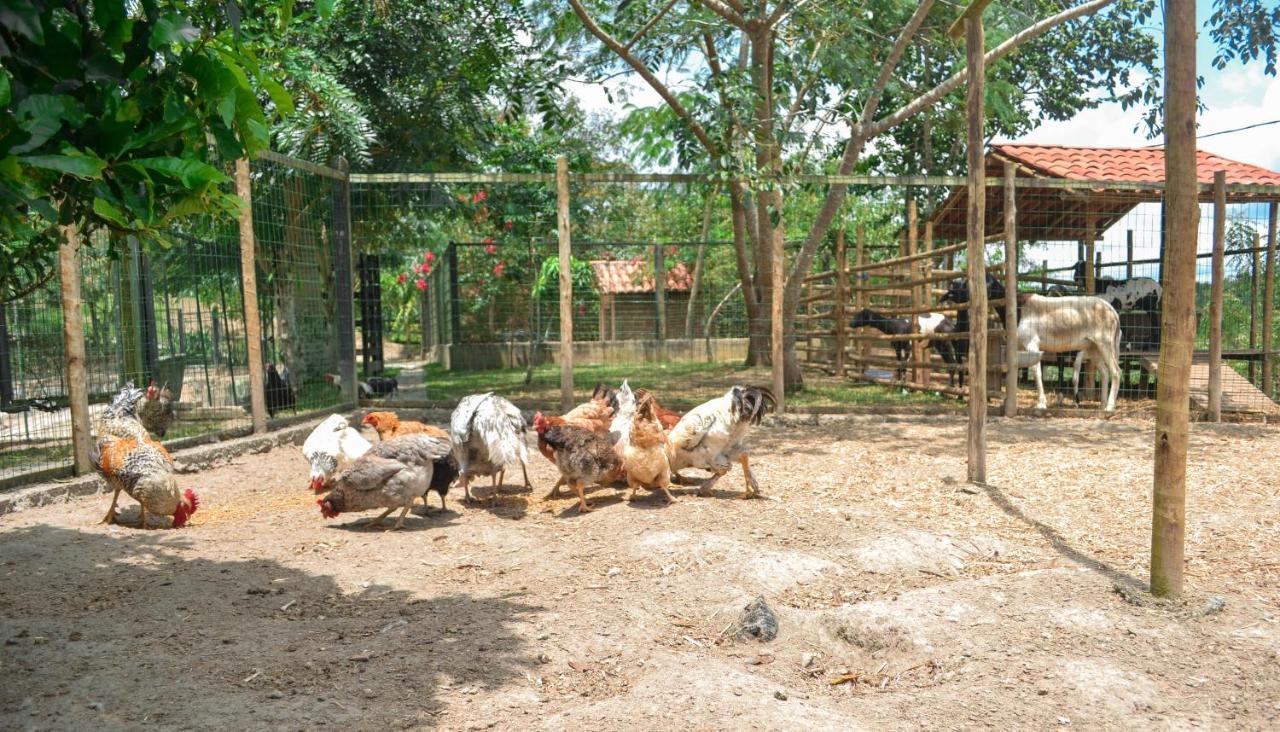 Chacara Maluco Beleza 2 Villa Gravatá Kültér fotó